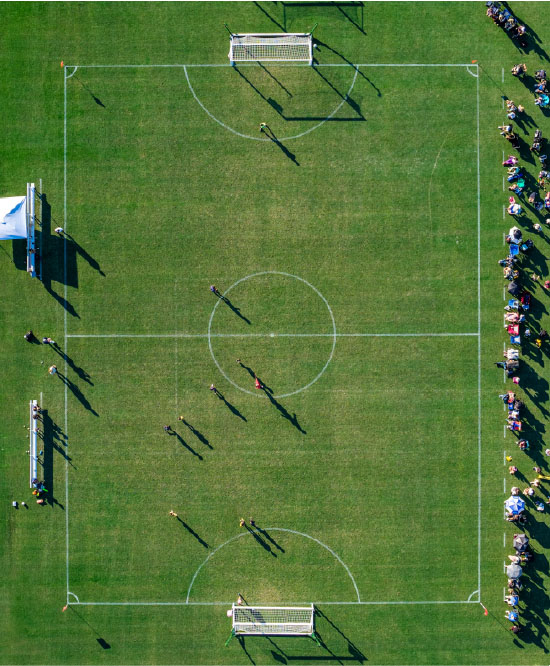 premium natural grass fields